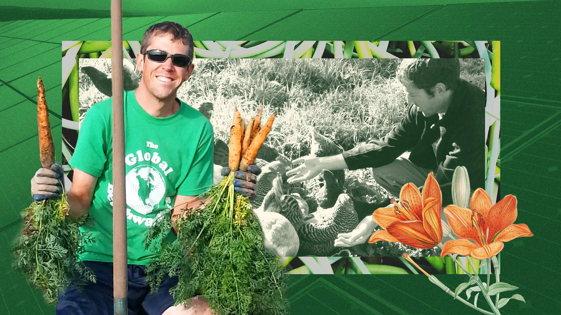 Joyful collage of Scott Laeser and the vibrant vegetables and chickens from his farm.