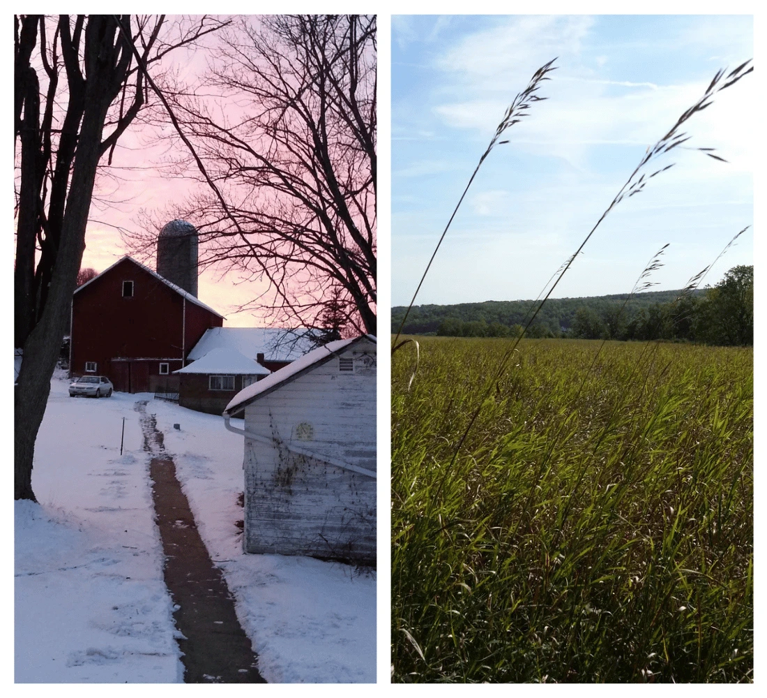 A farmhouse at the end of a road on a snowy day and an open prairie on a sunny day.